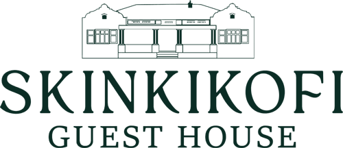 Skinkikofi Logo